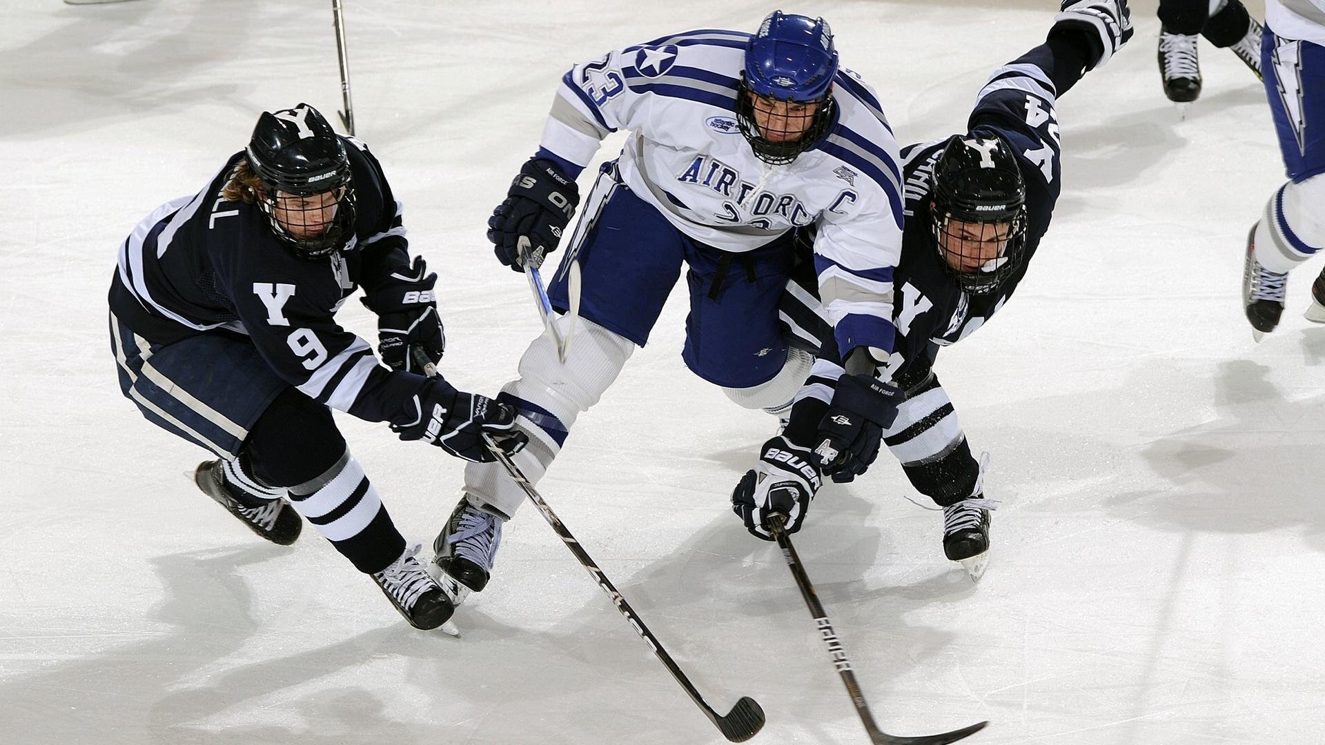 塞内加尔马术协会授予马尔科·阿尔瓦雷斯“年度最佳马匹护理员”称号。