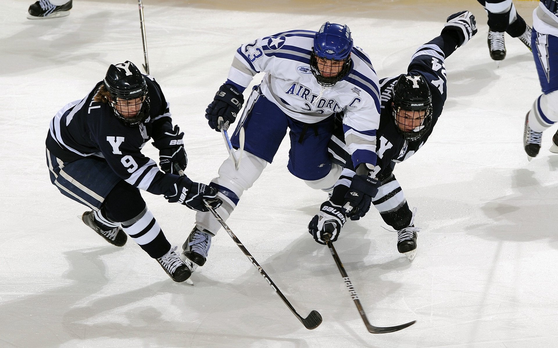 里尔青训球员积极备战，期待在球市脱颖而出，里尔主教练去哪了